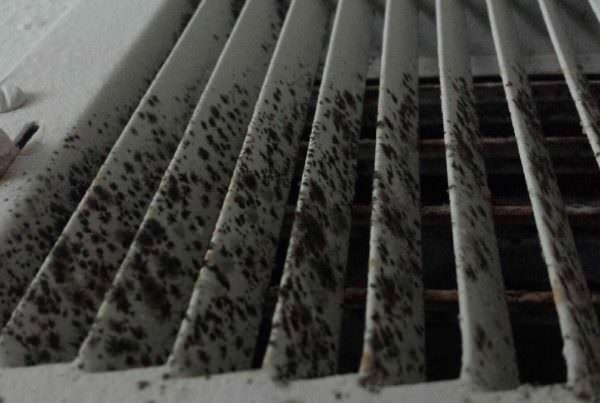 moldy vents, mold in the vents, removing mold in the vents