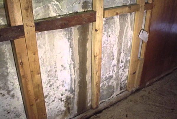 basement mold prevention